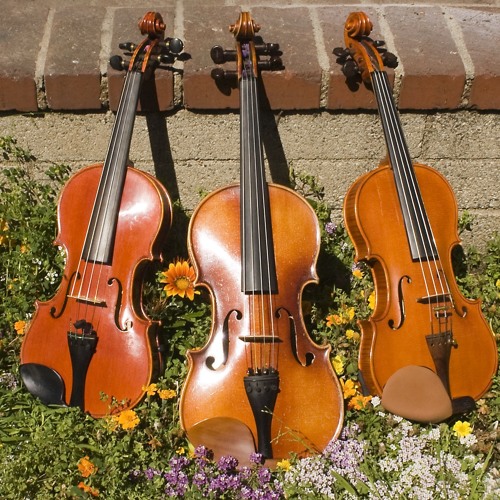 Billie Jean (Michael Jackson) - String Duo