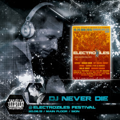 Dj Never Die @ Electroziles Festival (SA.20.06.2015) Main Floor