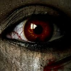 Polo X Joeyb - Z Like Me