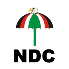 NDC MAN TALKING ABT HOW THEY STOLE THE 2012 ELECTION