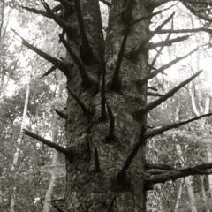 Foi Pour Pusillanime - Eponyme 7" 45rpm - B side - 3 miniatures