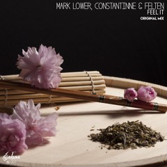 Mark Lower, Constantinne & Felten - Feel It (Orginal Mix) OUT NOW