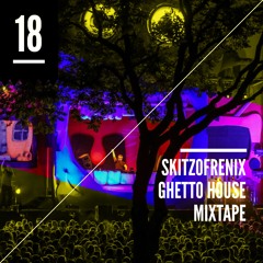 Skitzofrenix - Ghetto House #18