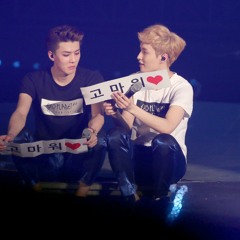 EXO - TENDER LOVE