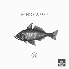 Echo Carrier - Eraser