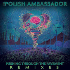 The Polish Ambassador - Vision Fiberoptics Ft Sean Haefeli (Froogle Revibe)