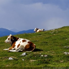 Pass Me the Danks_002