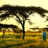 TÉLÉCHARGER ISMAEL LO TAJABONE