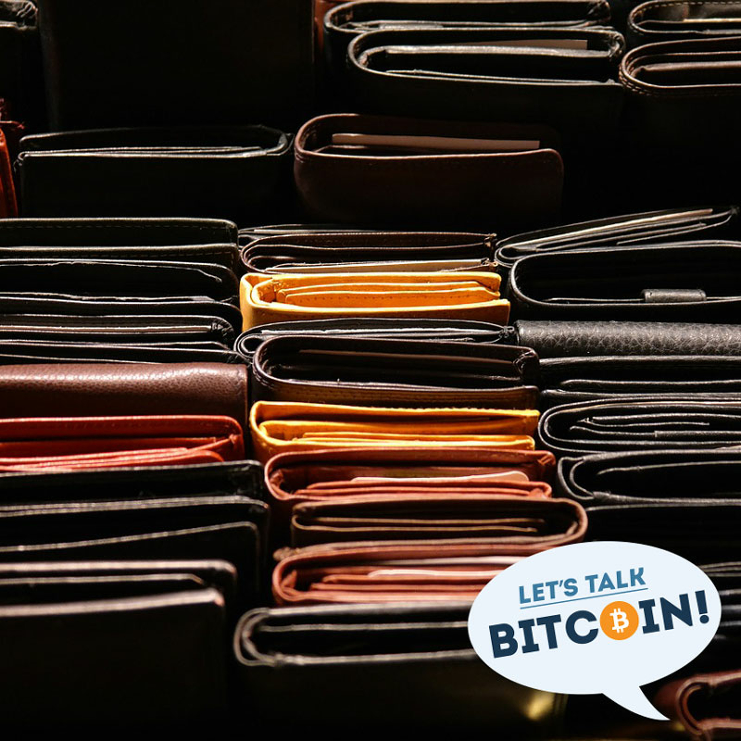 LTB E224 - Rating Wallets with the Open Bitcoin Privacy Project
