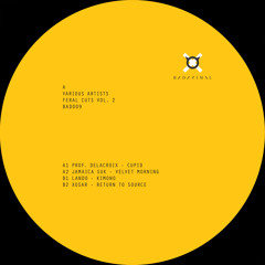 Jamaica Suk - Velvet Morning