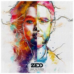 Zedd feat. Selena Gomez - I Want You To Know (NikitaMars Edit)