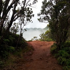 The Not-At-All-Well-Lit Road