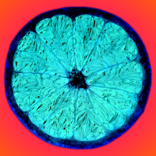 Fringe Science