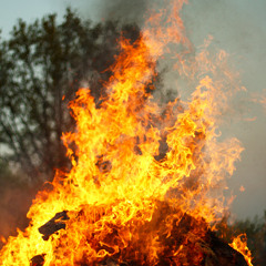 My First Rejected Shortfilm Score…lol