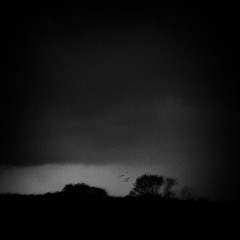 არავინ (ნიკოლოზ წვიმა) – ''თუ კი სიყვარულს მიეცემა სიცოცხლე შენი"