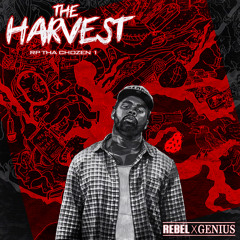 (@RPThaChozen1)The Harvest