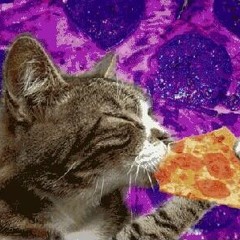 Pizza Kitty