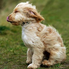 Storm on the Horizon