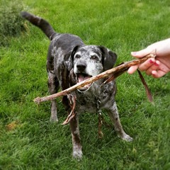 Weird tuning idea (redone fight me)