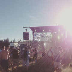 What The Festival 2015 Opening Set Friday Night