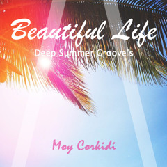 Beautiful Life Set - (Deep Summer Grooves)
