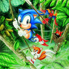 No Sleep Till Jungle Zone