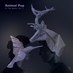 Animal Pop - Beijing Haze