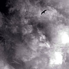 black jewels ( prod. itzSpvceMan )