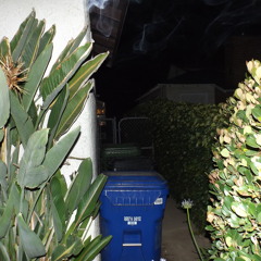 now be quiet and listen real quick - garden room