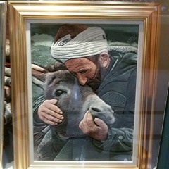 eclipse juno shaker sona final