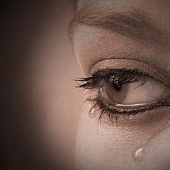 بعثت الي الافاقي روحي التهامي مولانا العاشق