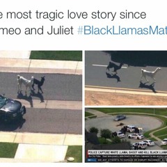 Ramriddlz - Sweeterman Prod Jordan Francis