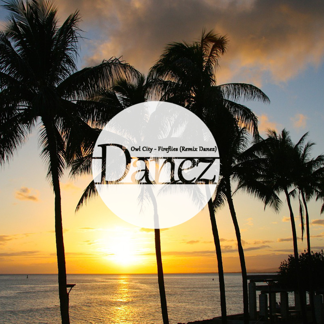 洋楽 545 Owl City Fireflies Remixes Owl City – Fireflies (The Remixes) – CDr (Promo), 2010