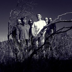 Live Strandbaren Stokkoya set 2