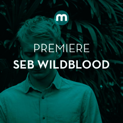 Premiere: Seb Wildblood 'Gunvor'
