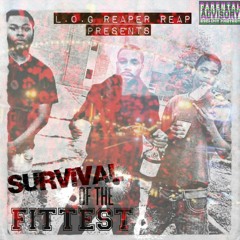 Survival of the fittest