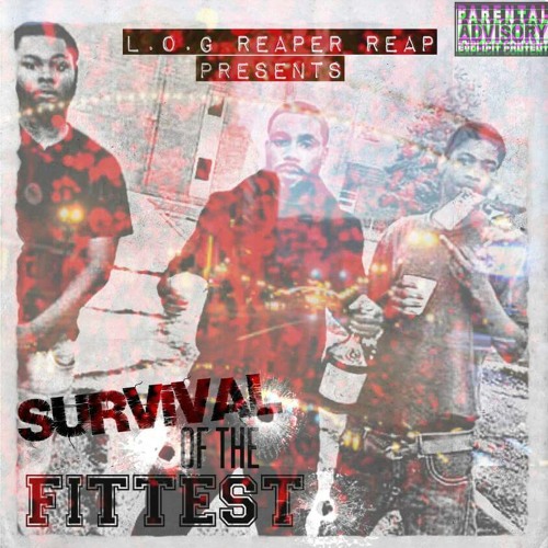 Survival of the fittest