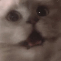 A Journey Through Time