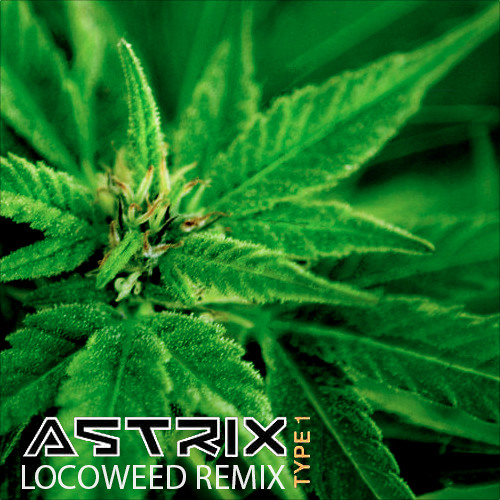 Astrix - Type 1 (LocoWeed Remix)