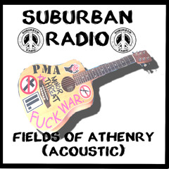 Fields Of Athenry (Acoustic)
