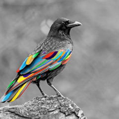 The Upstart Crow: Shakespeare's feud with Robert Greene