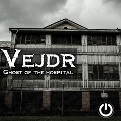 Vejdr - Ghost Of The Hospital [2014]