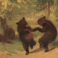move the bear