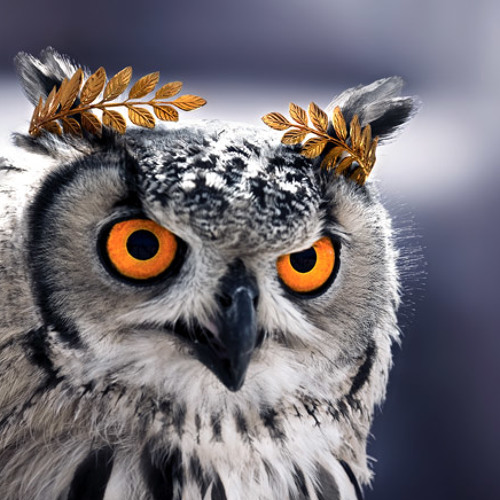 Comedy Of Errors DEMO