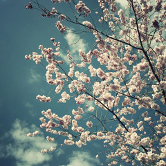 SPRING 2015