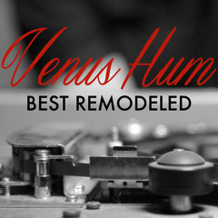 Hummingbirds (Remodeled)