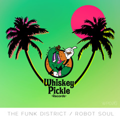 The Funk District - Robot Soul (Richard Seaborne Remix)