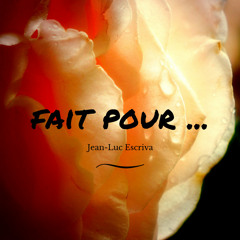 FAIT POUR