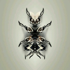 Insect (SAMPLE)