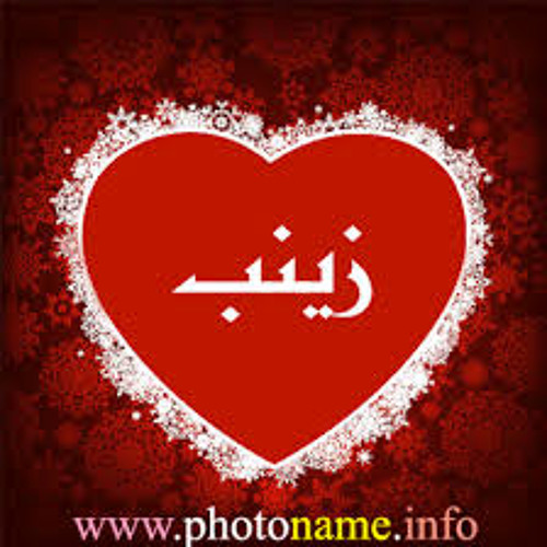 حسين الصادق - زينبو